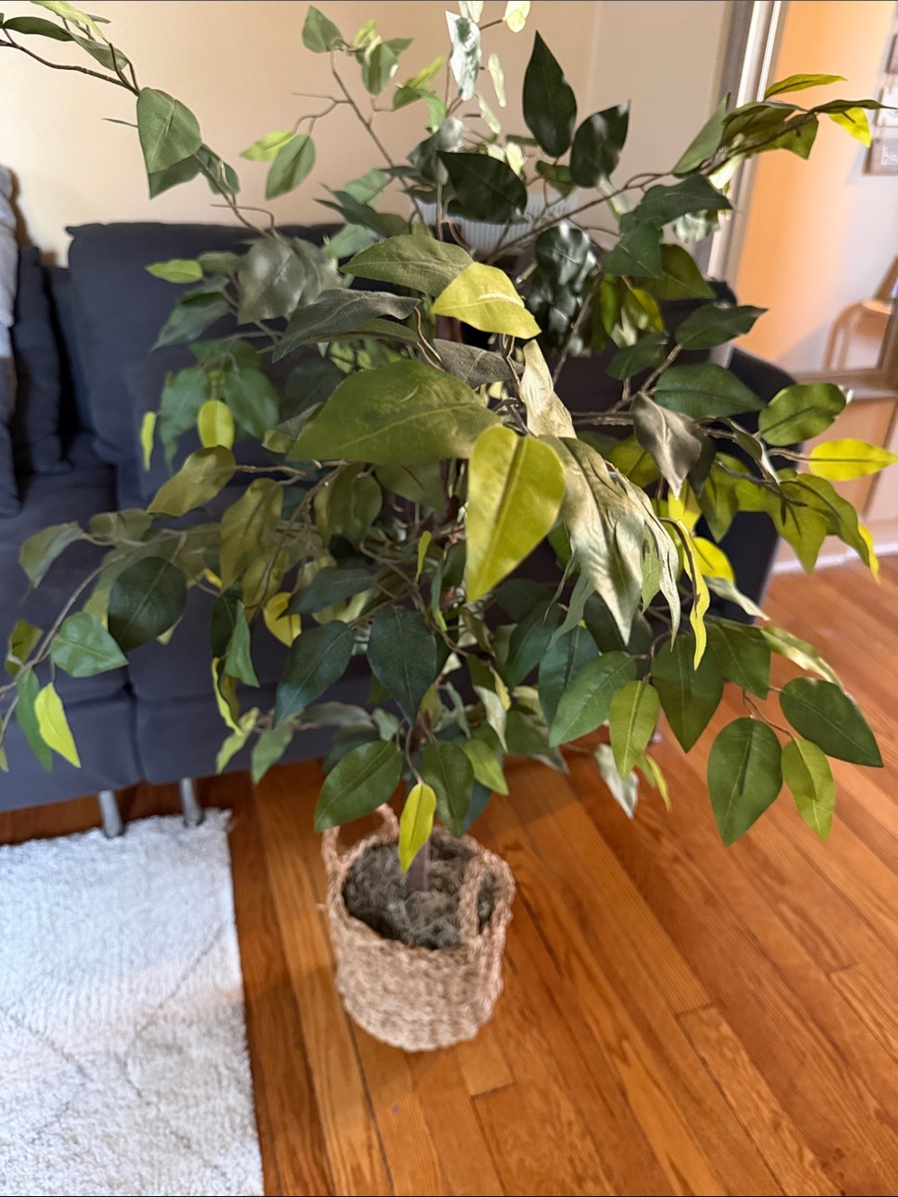 Faux Ficus Tree in Green -
